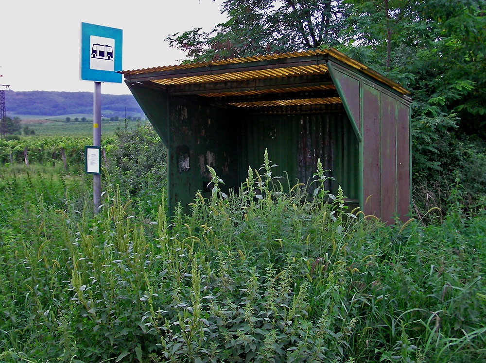 Ritka j�rat