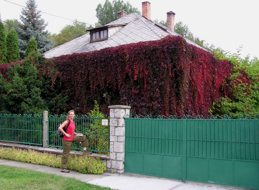 Abszol�t z�ld�vezeti lak�s Dorogon.