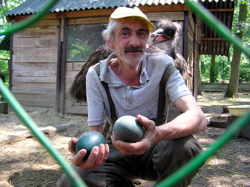 A f�lt�keny emu.