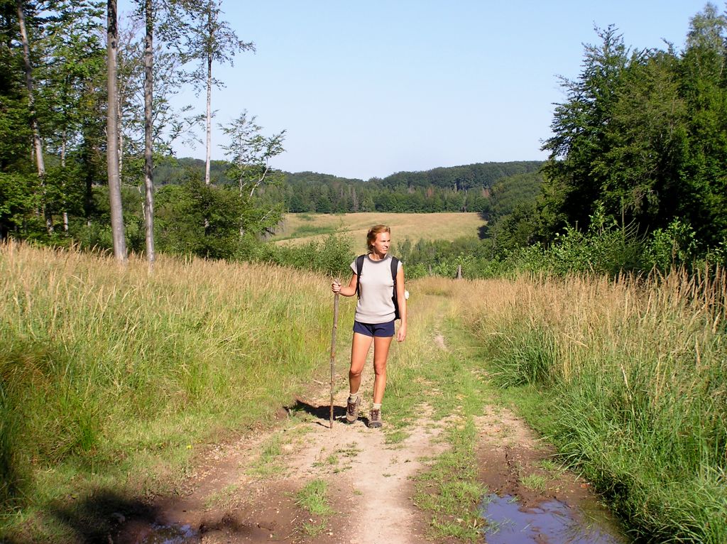 V�nDorisz