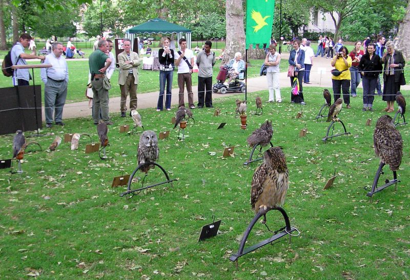 Russel Square Gardens - madrkillts