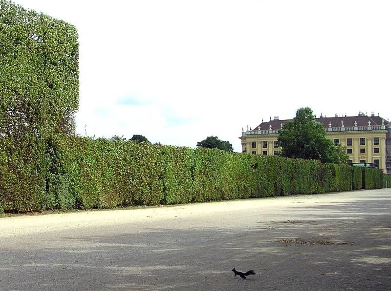 Schnbrunn-3