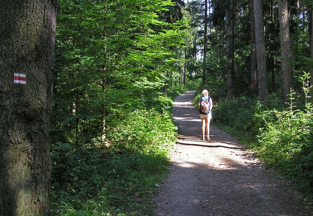 Turista orszgt...